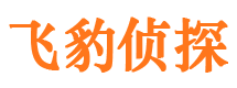 沧源市私家侦探